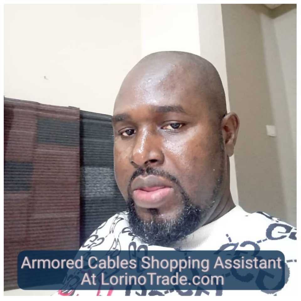 Armored Cables Shopping And Sourcing Assistant (2) At LorinoTrade