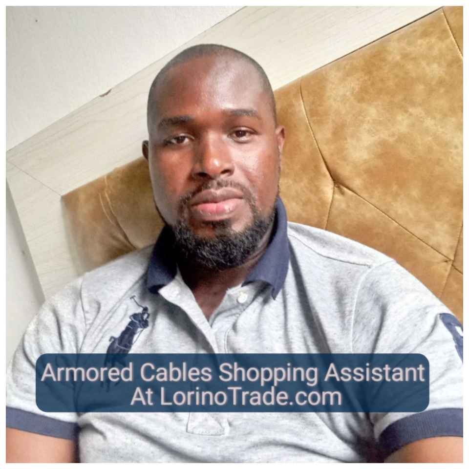 Armored Cables Shopping And Sourcing Assistant (1) At LorinoTrade