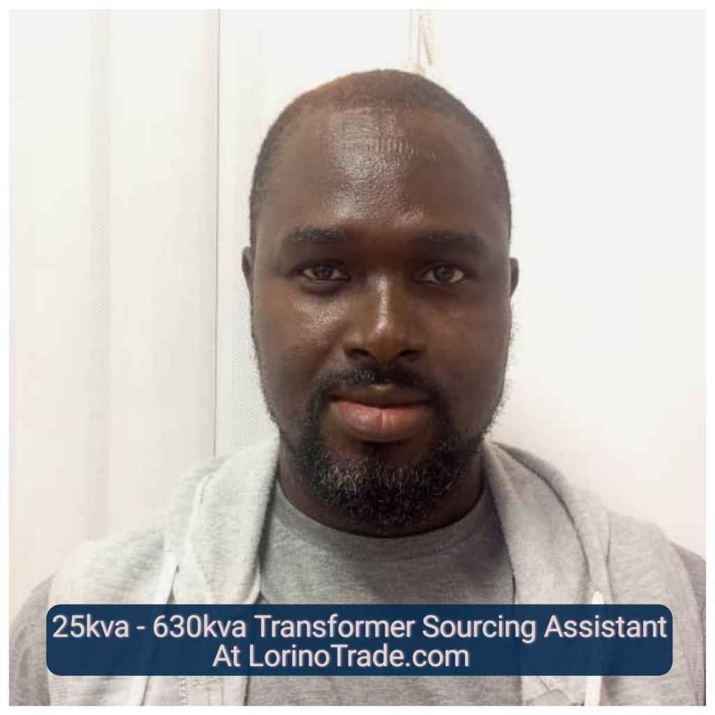 25kva to 630kva Transformer Sourcing Assistant At LorinoTrade (1)