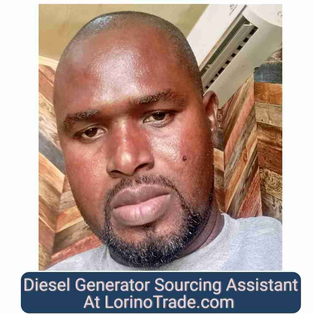 Diesel Generator Sourcing Assistant At LorinoTrade (1)