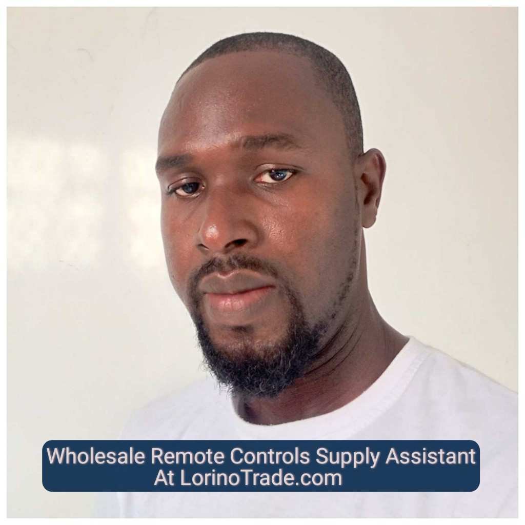 Wholesale Remote Controls Supply Assistant At LorinoTrade